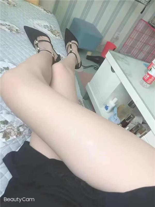 甘肃兰州小花猫体验-3.jpg